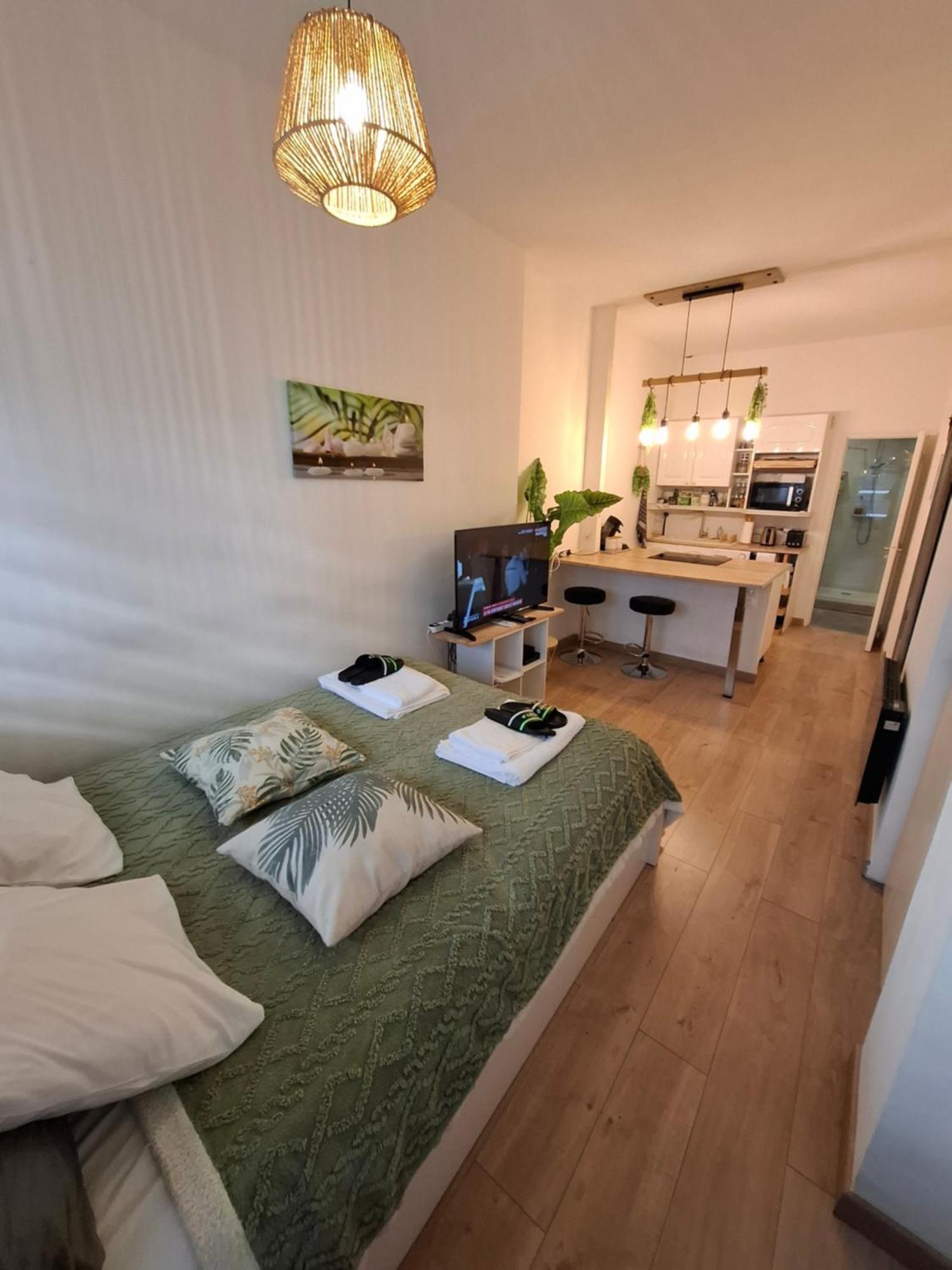 Studio La Casa De Planel Gare Saint Roch Montpellier Kültér fotó